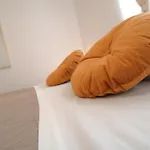 New! Apartment Jolie In Zadar - With Free Parking And Terrace!
