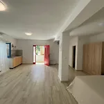 Rustic Studio Apartment - Salvia, Lumbarda