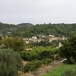 Apartments Ana