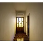 Apartments Velebit