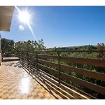 Apartments Velebit