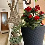Bolero Guest House