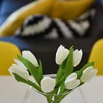 Mediterraneo Garden Apartments