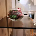 Apartment Blaskovic