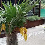 Mobile Home Palma