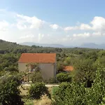 Apartments Jelic