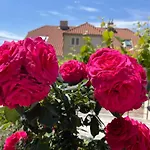 Vicina Summer Apartments