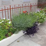 Vicina Summer Apartments