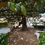 Bed & Breakfast- La Villa Lopud