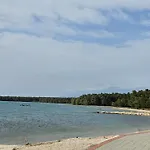 Zima