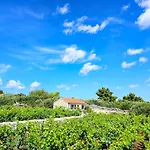 Stone House In Vineyard
