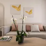 Arsenal Lofts
