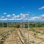 Rocca Verde