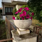 Apartman Petar