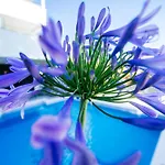 Villa Felicita, Biograd Na Moru, Zadar