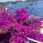 Guest House Matana