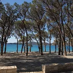 Apartmani Dina