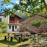 ---Allegria House---