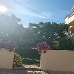 Sunny1