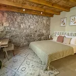 Olive Harmony Suite