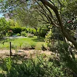 Studio Apartment Elena