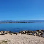 Miadive