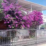 Apartment Drage 17392A