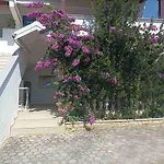 Apartments Vir Delfin