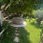 Garden Antique With Bubble Spa