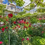 Apartmani Galic 2