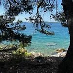 Dragon Bay - Falkor