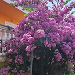 Apartman Milka