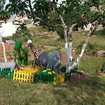 Holiday Home Ena , Mali Iz 286