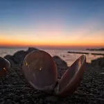 Dalmatino Pleasure - Beach House Camp Dalmacija Privlaka
