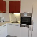 Apartman Riba