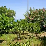 Apartments And Rooms By The Sea Drace, Peljesac - 4550