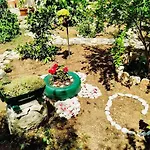 Baldo'S Happy Garden- Brand New