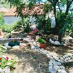 Baldo'S Happy Garden- Brand New