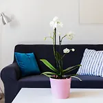 Apartments Katarina - Two-Bedroom Apartment 4 Adults - Izme U Ribnjaka Street No 1 - #2