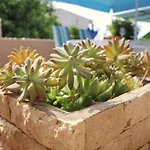 Apartments Villa Marijana - One Bedroom Apartment With Terrace And Garden View Marijana 3