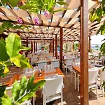 Apartments Dalmatia In Preko Island Ugljan With Swimmingpool
