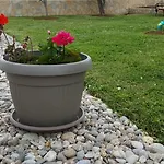 Apartment Sime