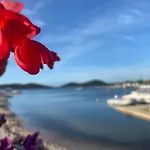 Amore Del Mare, Seaside Family Pace, Free Parking And Wifi In Camp Dalmatino