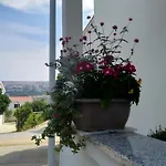 Apartment Edina Pag