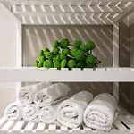 Pretty Green Apartment