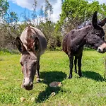 My Dalmatia - Luxury Villa Escape With Private Pool, Game Room And Home Gym