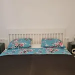 Apartments Ned