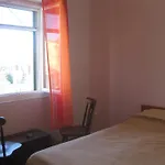House Vese