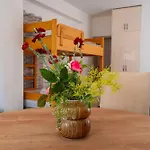 My Dalmatia - Studio Apartment Blagdan With Private Parking