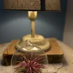 Apartment Arcadia